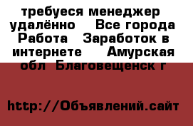 требуеся менеджер (удалённо) - Все города Работа » Заработок в интернете   . Амурская обл.,Благовещенск г.